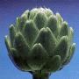 artichoke.gif
