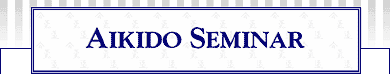 Aikido Seminar