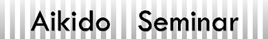 Aikido Seminar