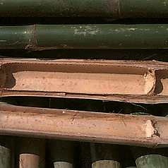image of the dense urban fabric of Wan Chai in Hong Kong