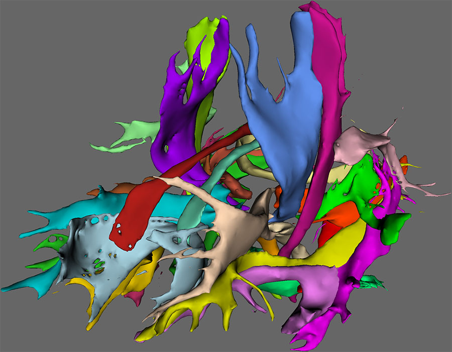 autoPtx_example.jpg