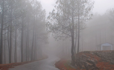 misty trail