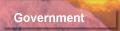 Government
