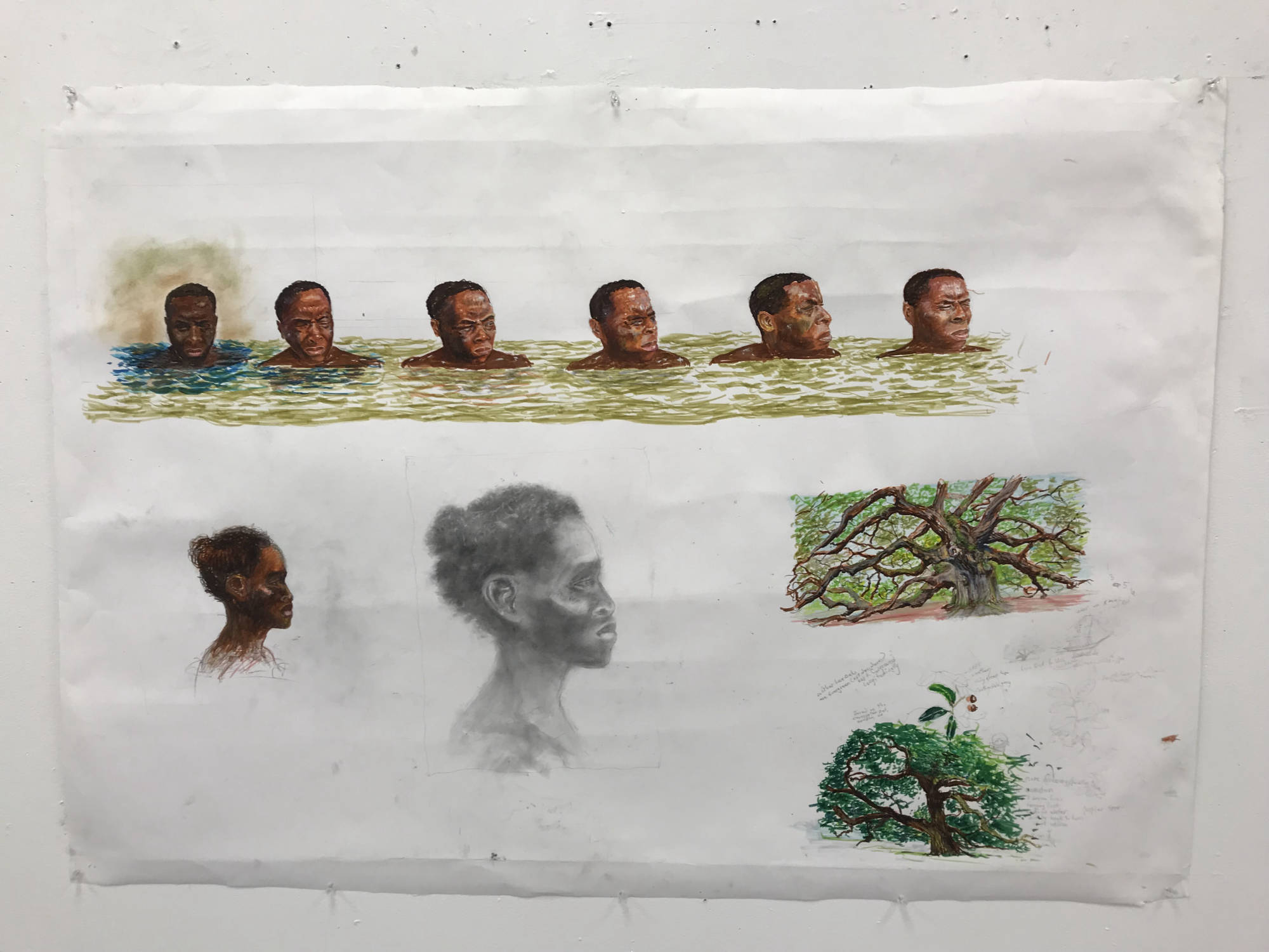 Contact sheet