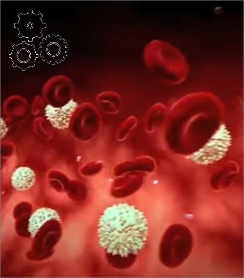 Engineering Red Blooc Cells