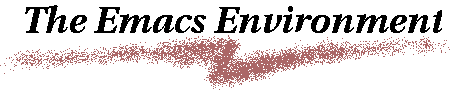 THE EMACS ENVIRONMENT