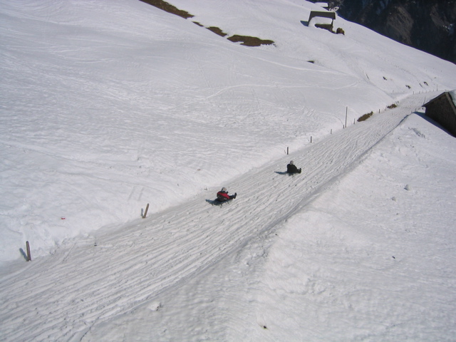 Tobogganing in the Alps