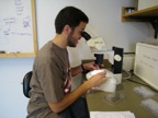 Wilfredo in lab