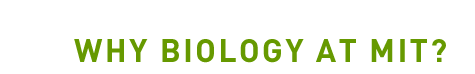 Why Biology at MIT?